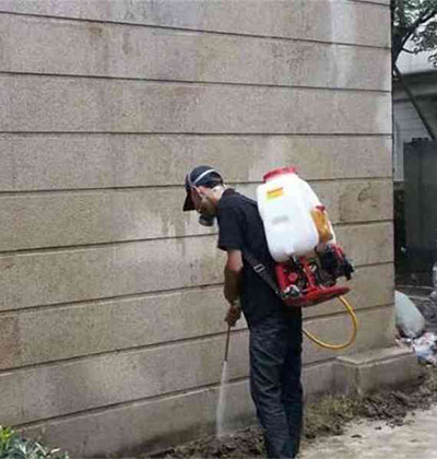 郫縣除四害，龍泉除四害