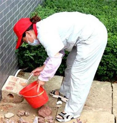 成都滅鼠除蟲公司，成都滅鼠滅蟑